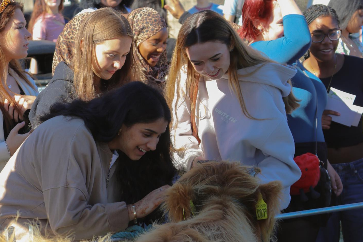 Image of students speaking engaging in a group activity